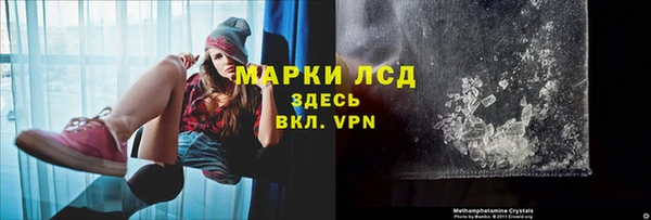 гашик Вязьма