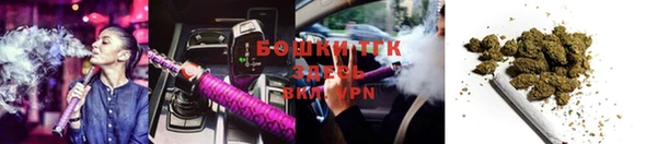 гашик Вязьма