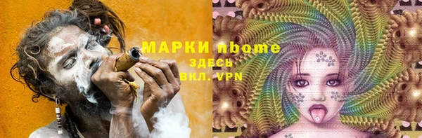 гашик Вязьма