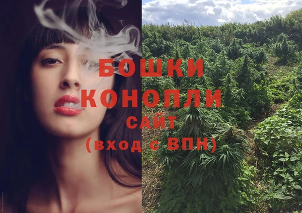 гашик Вязьма
