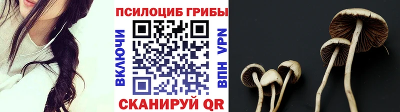 Галлюциногенные грибы мухоморы  Муром 